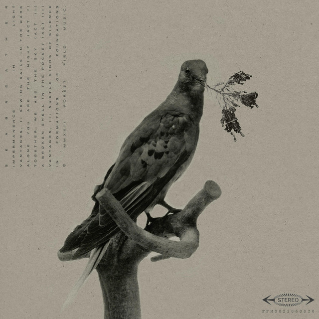 Impermanence In Light cover art