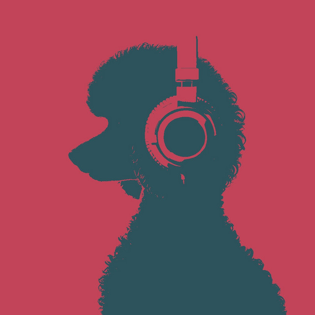 Reverse cover art