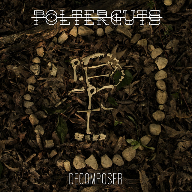 Decomposer cover art