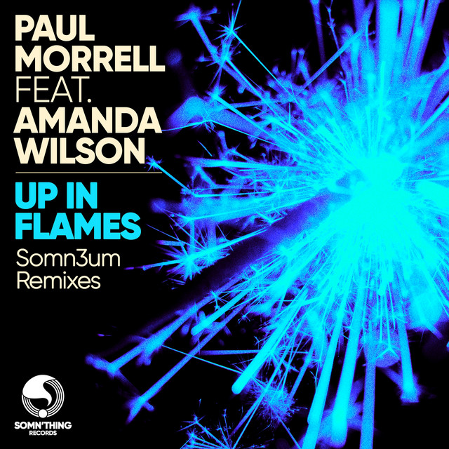 Up in Flames - Somn3um Radio Edit