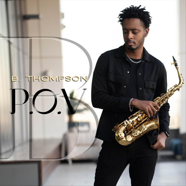 P.O.V. cover art