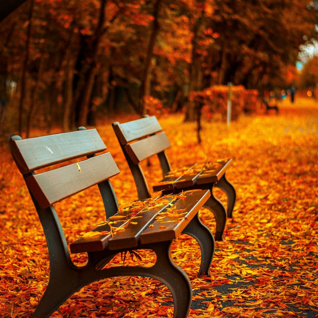 Autumn in Paris artwork