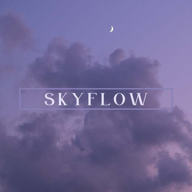Обкладинка: Skyflow — Melancholic Bird
