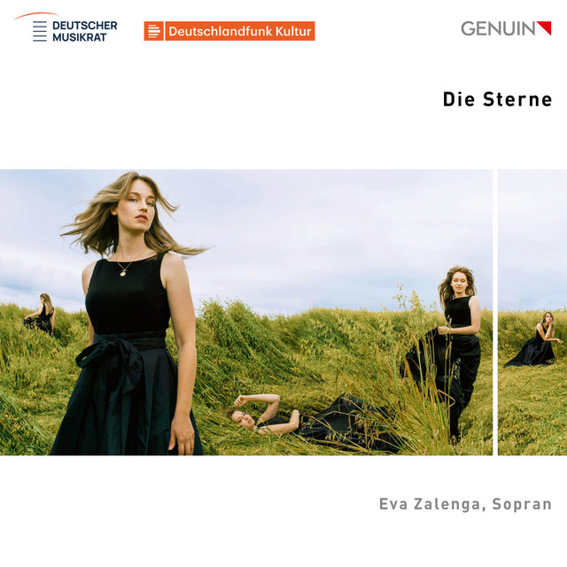 12 Songs: No. 12, Die Sterne, VWV 1059 (Version for Voice, Cello & Piano)