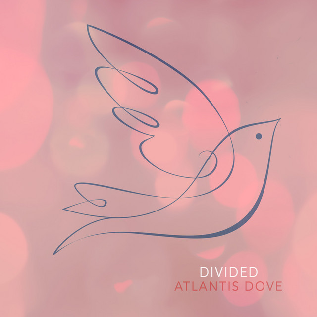 Divided cover