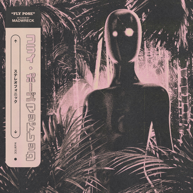 Fly Pose cover art