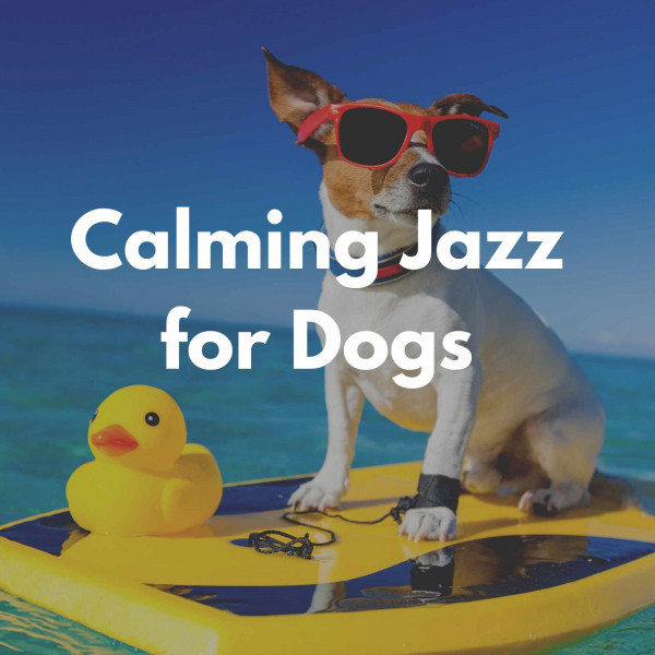 Calming Jazz for Dogs cover art
