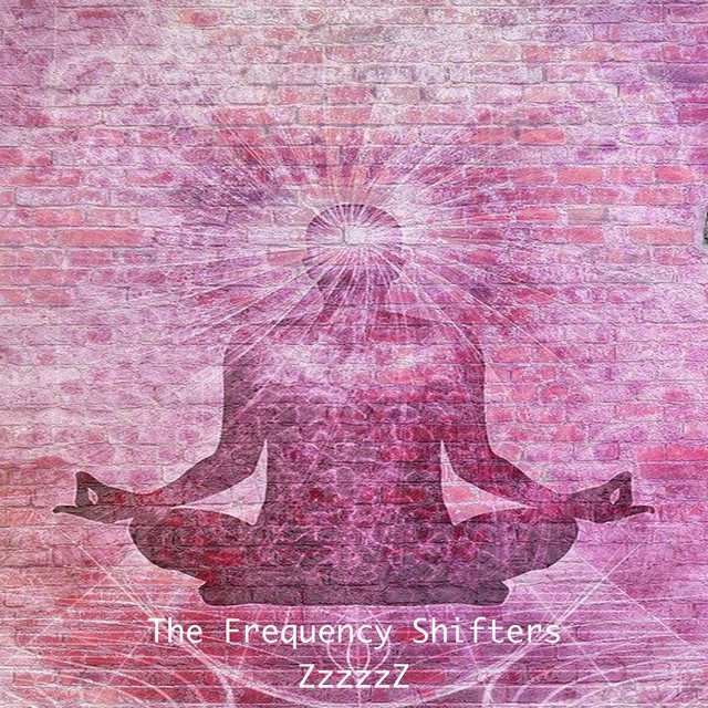 ZzzzzZ by The Frequency Shifters