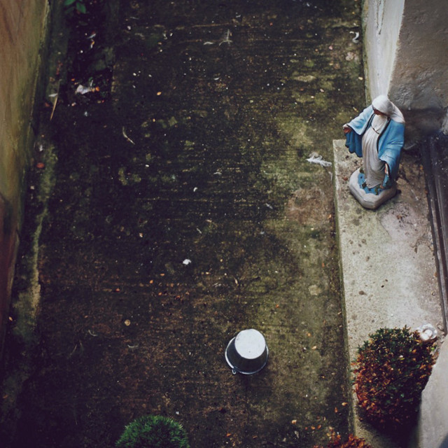 Harm Starts Here cover art