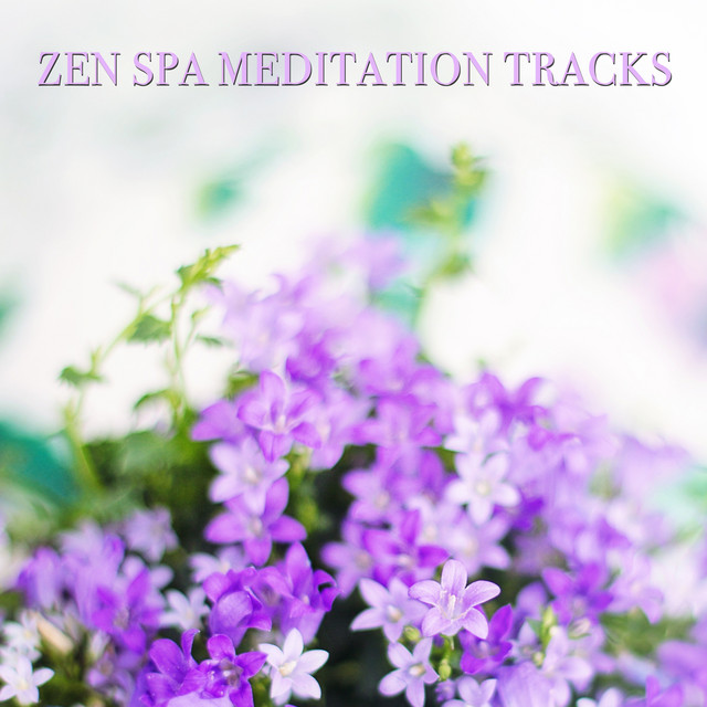 16 Zen Spa Meditation Tracks cover art