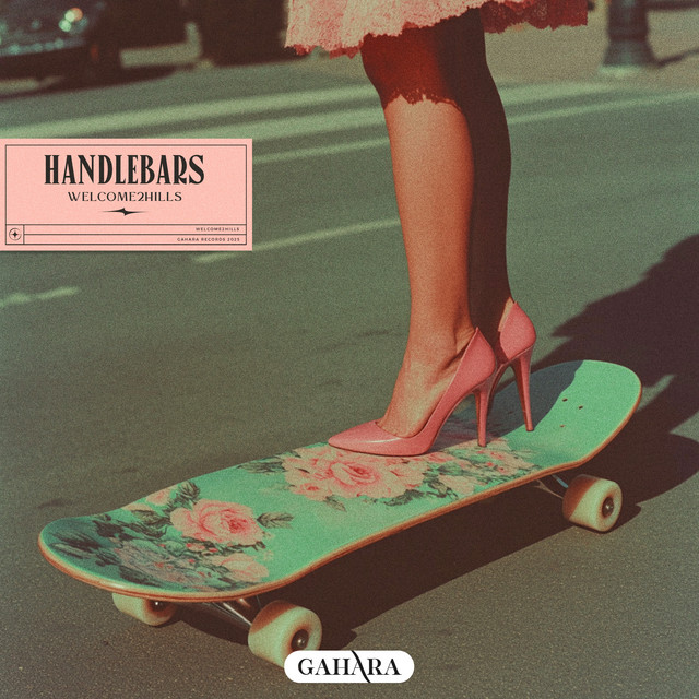Handlebars cover