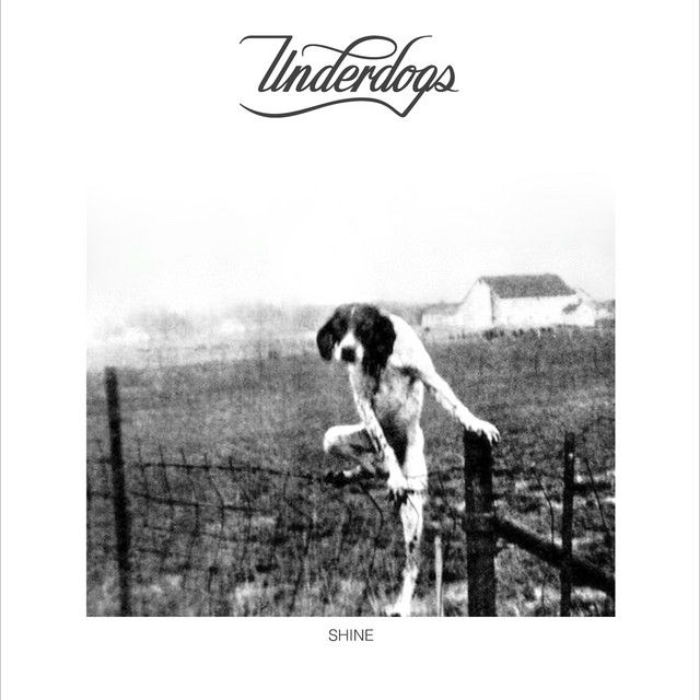 Shine cover art