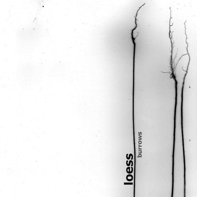 Burrows cover art