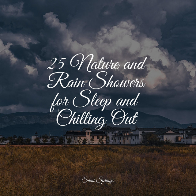 25 Nature and Rain Showers for Sleep and Chilling Out - Album by Rain ...
