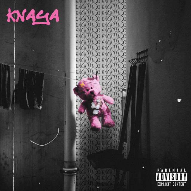 Encajando cover art