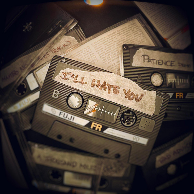 i'll hate you cover art