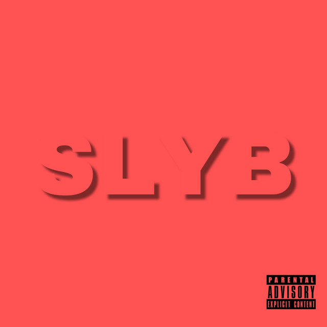 Slyb cover art