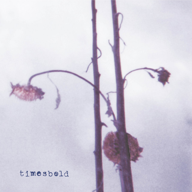 Timesbold cover art