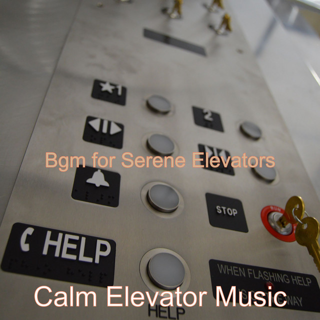 Bgm for Serene Elevators cover art