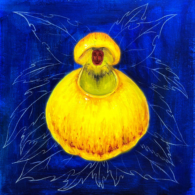 bloom cover art