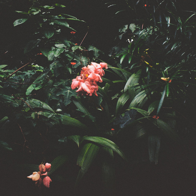 Calling cover art