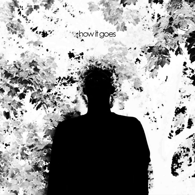 how it goes cover art