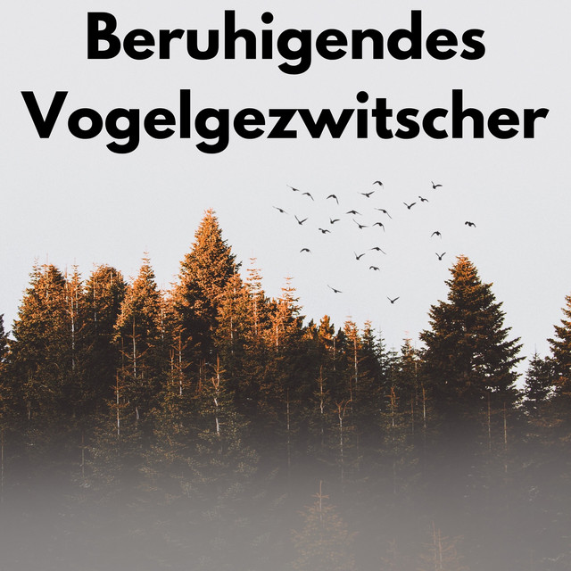 Beruhigendes Vogelgezwitscher cover art