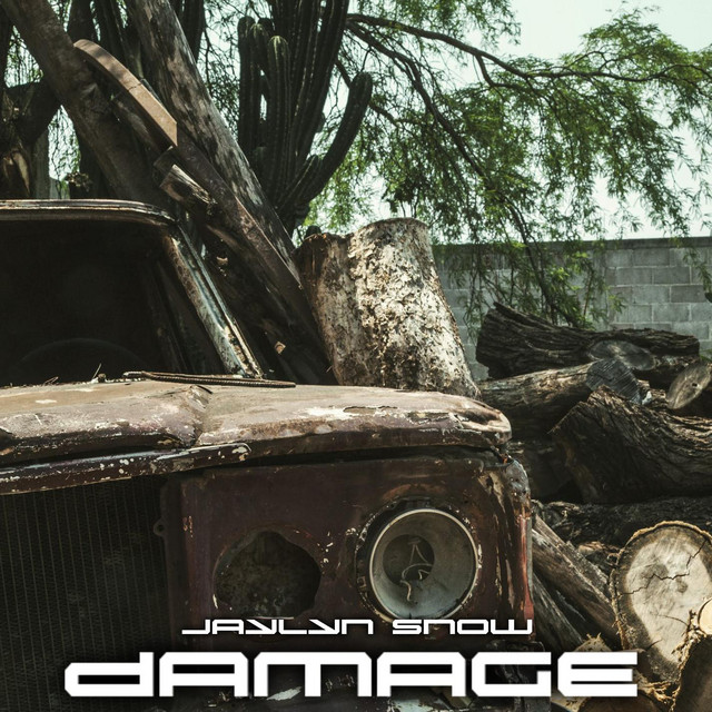 Damage cover