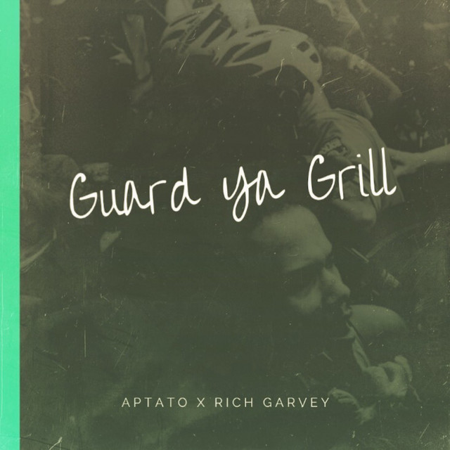 Guard ya Grill cover