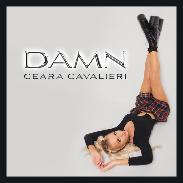 Damn cover art