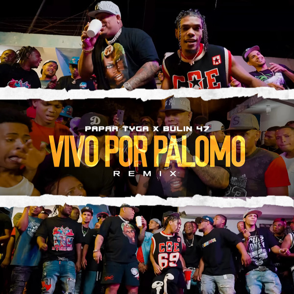 Vivo Por Palomo - Remix