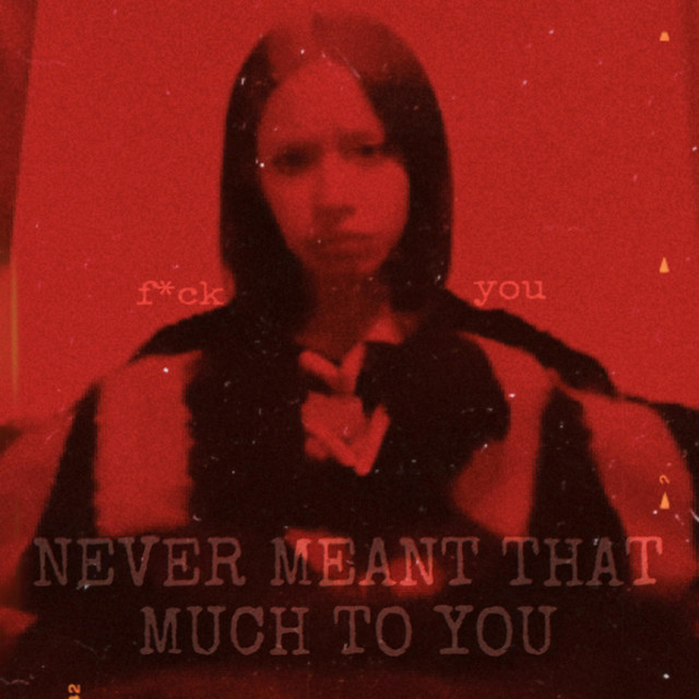 never meant that much to you