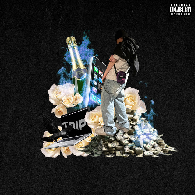 TRIP cover art
