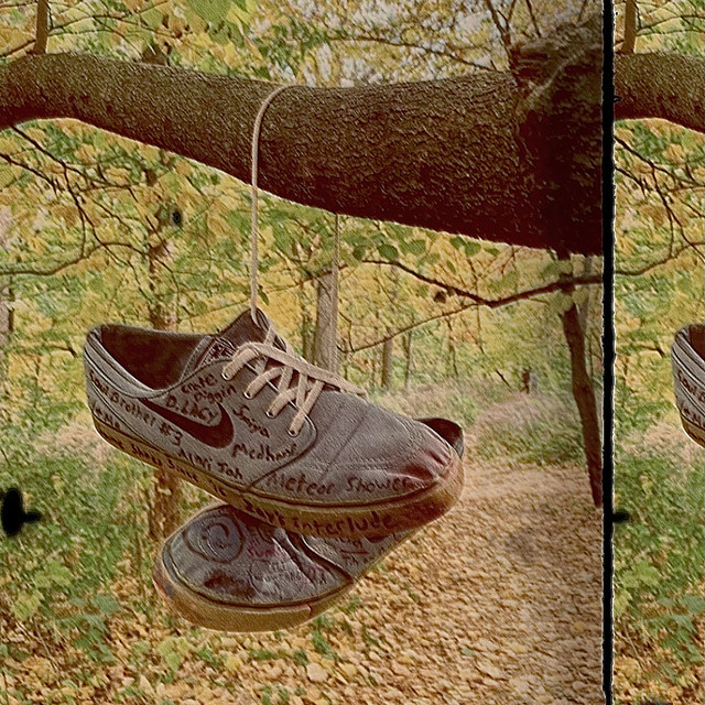 Same Shoes Since '16 cover art