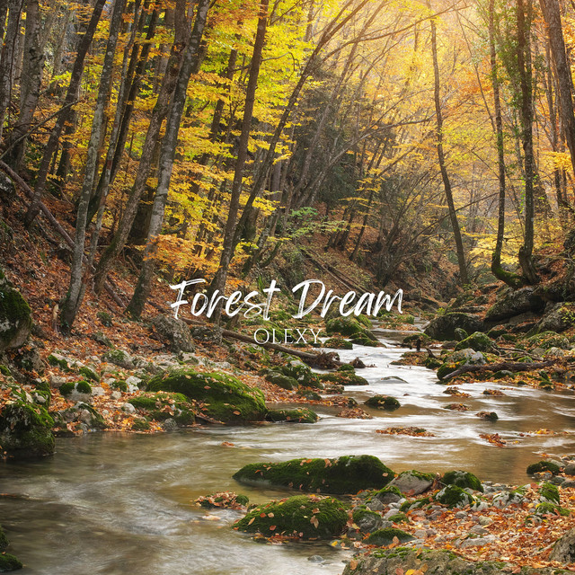 Cover art: Forest Dream — Olexy