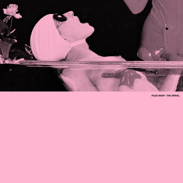 The Spiral cover art