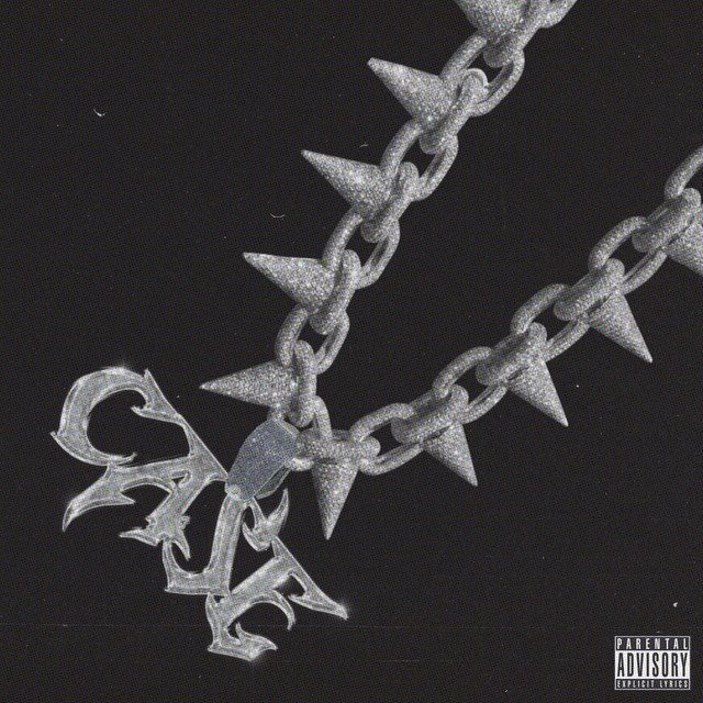 CASE cover art