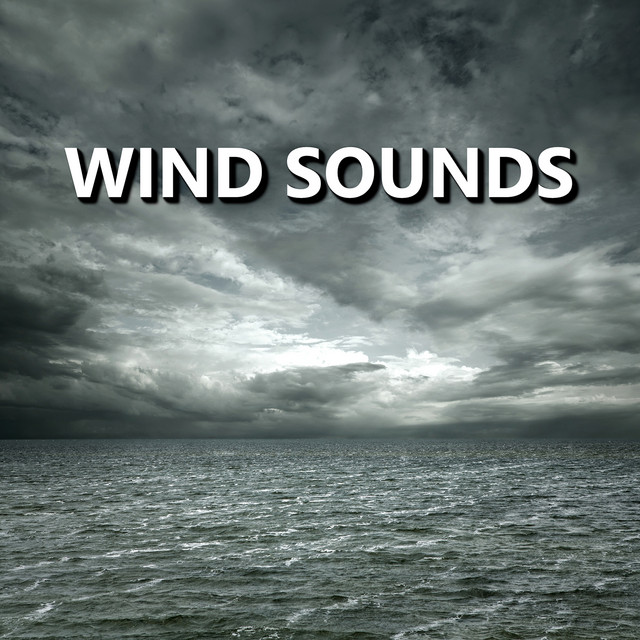 Wind Sounds cover art