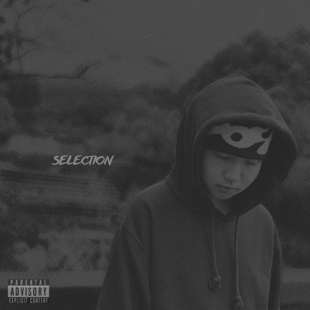 SELECTION cover art