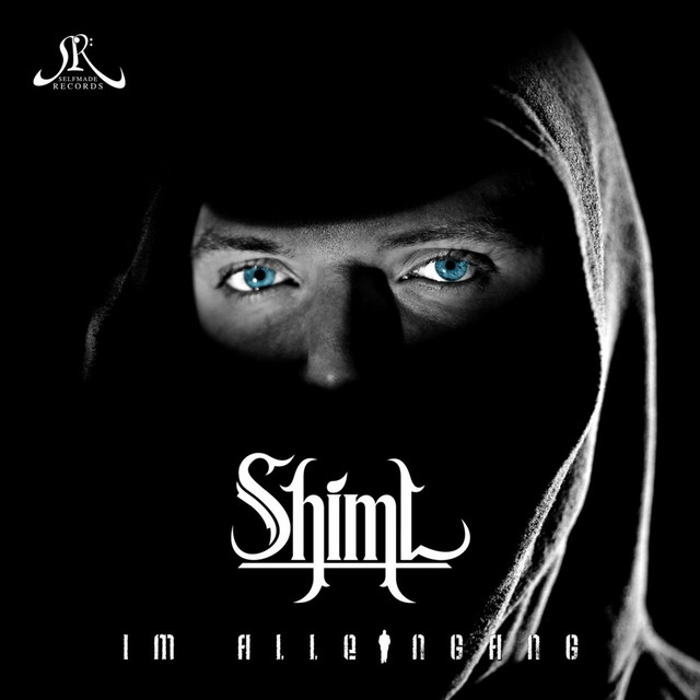 Im Alleingang cover art