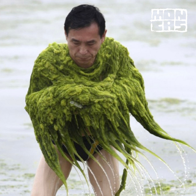 ALGAS! cover art