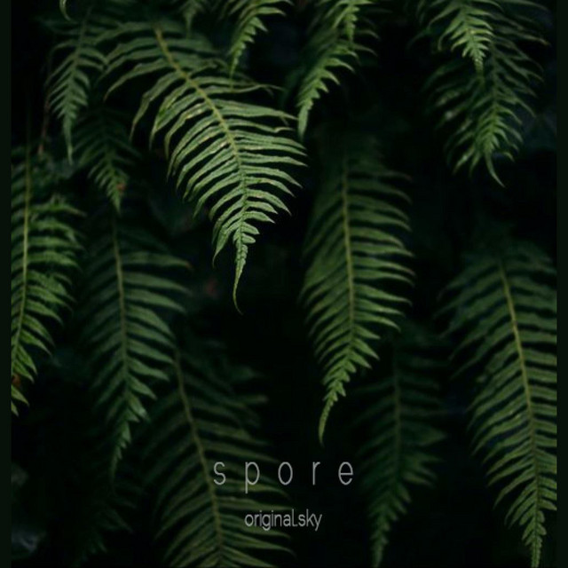 Spore cover