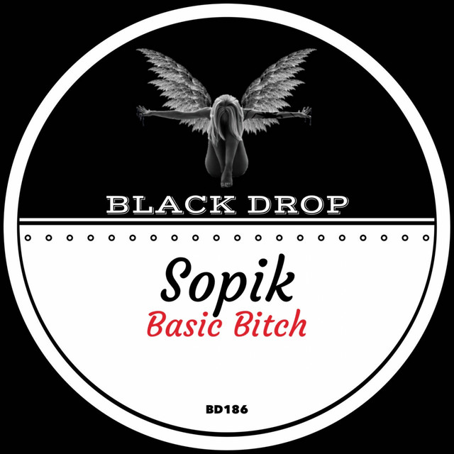 Basic Bitch album art