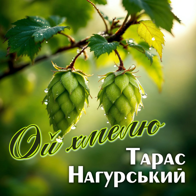 Обкладинка: Ой хмелю — Тарас Нагурський
