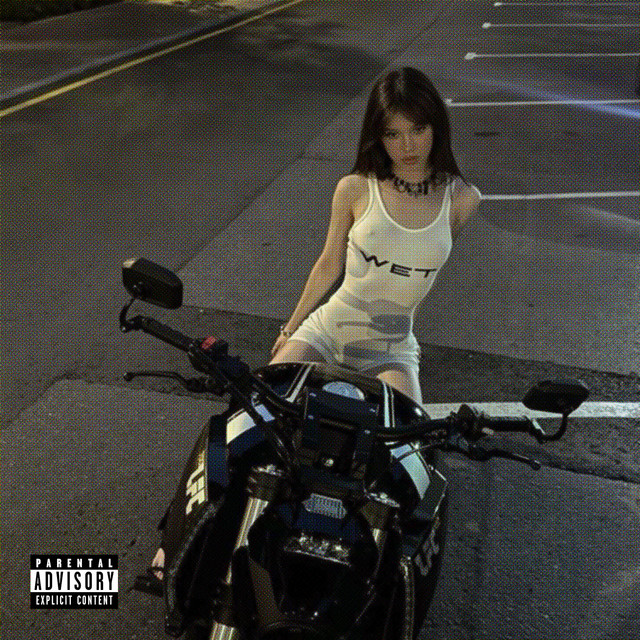 Suzuki Bege