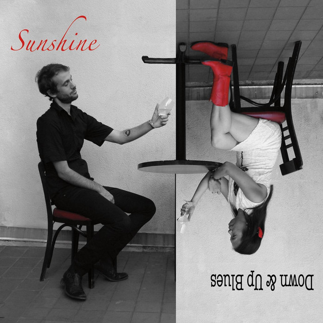 Down and Up Blues cover art