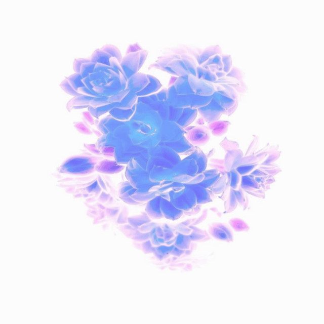 Serendipitous Disaster (single)