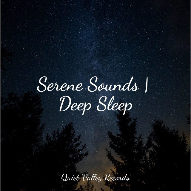 Serene Sounds | Deep Sleep - Album by Música Zen Relaxante | Spotify