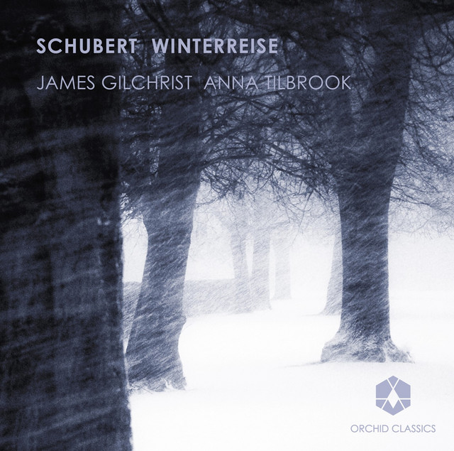 Schubert: Winterreise cover