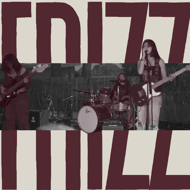 FRIZZ cover art